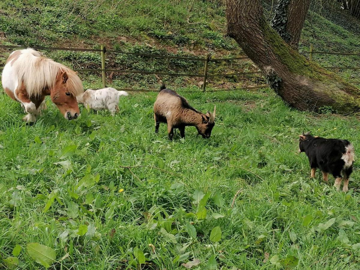 Au Pre De Mukky Villa Andenne Buitenkant foto