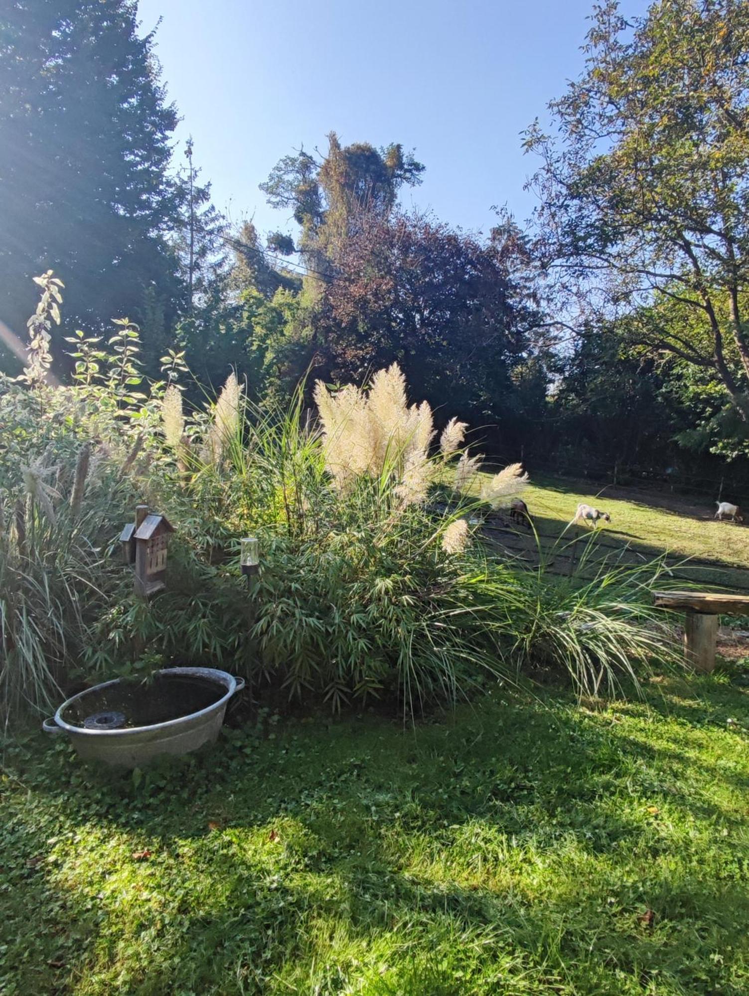 Au Pre De Mukky Villa Andenne Buitenkant foto